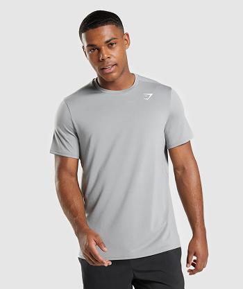 T Shirts Męskie Gymshark Arrival Regular Fit Szare | PL 3865TCE